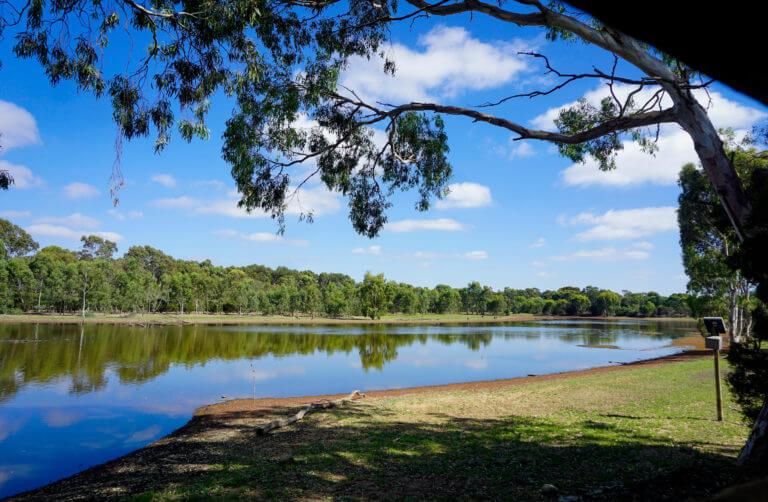 Lake and parkland at Lara, Victoria